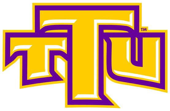 Tennessee Tech Golden Eagles 2006-Pres Alternate Logo v2 iron on transfers for T-shirts